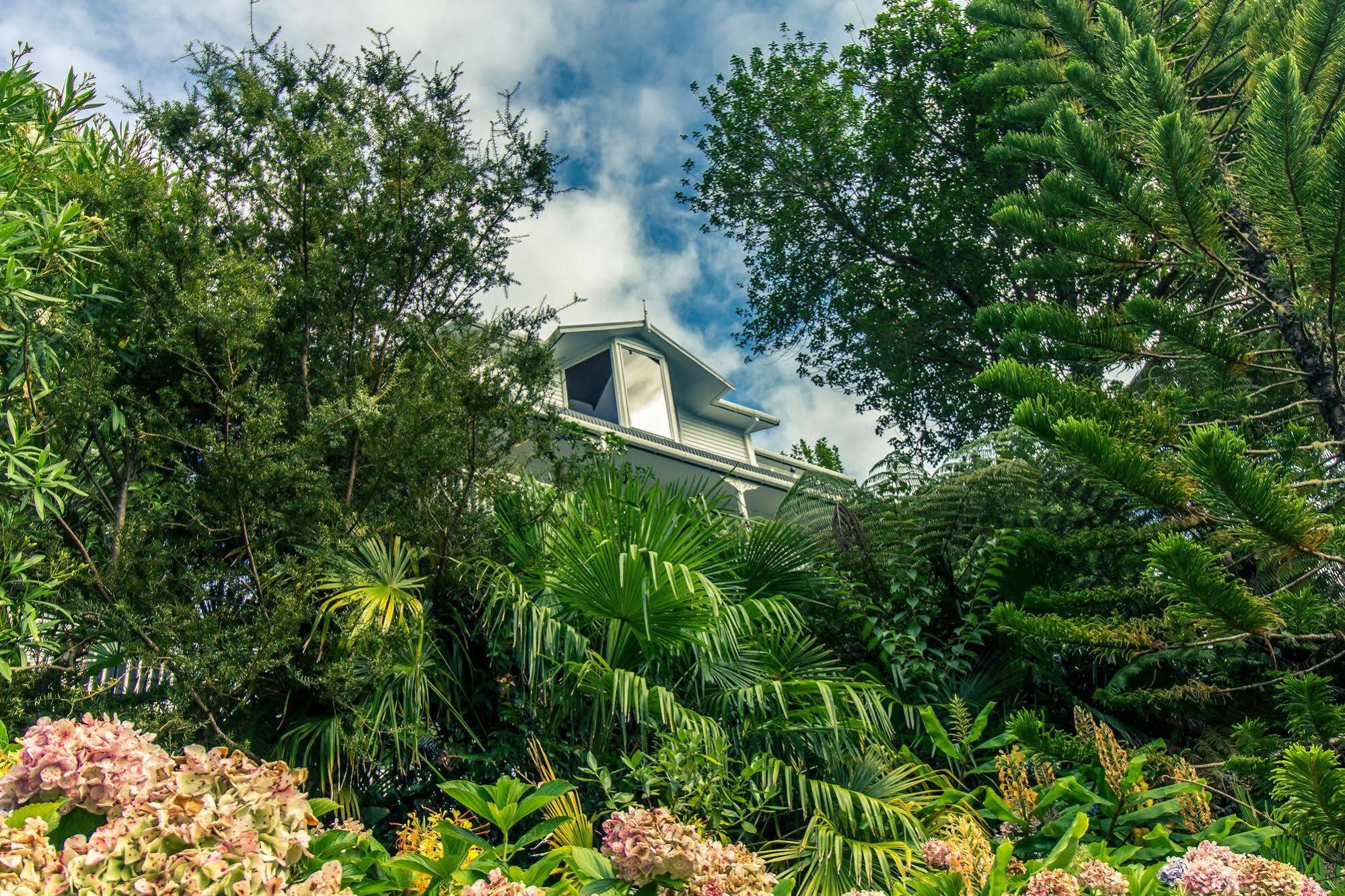 Marlin House Bed & Breakfast Paihia Exterior photo